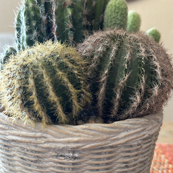 Faux Potted Cactus Arrangement - Picture 11 of 14